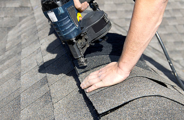 Best Skylight Installation and Repair  in Kinder, LA
